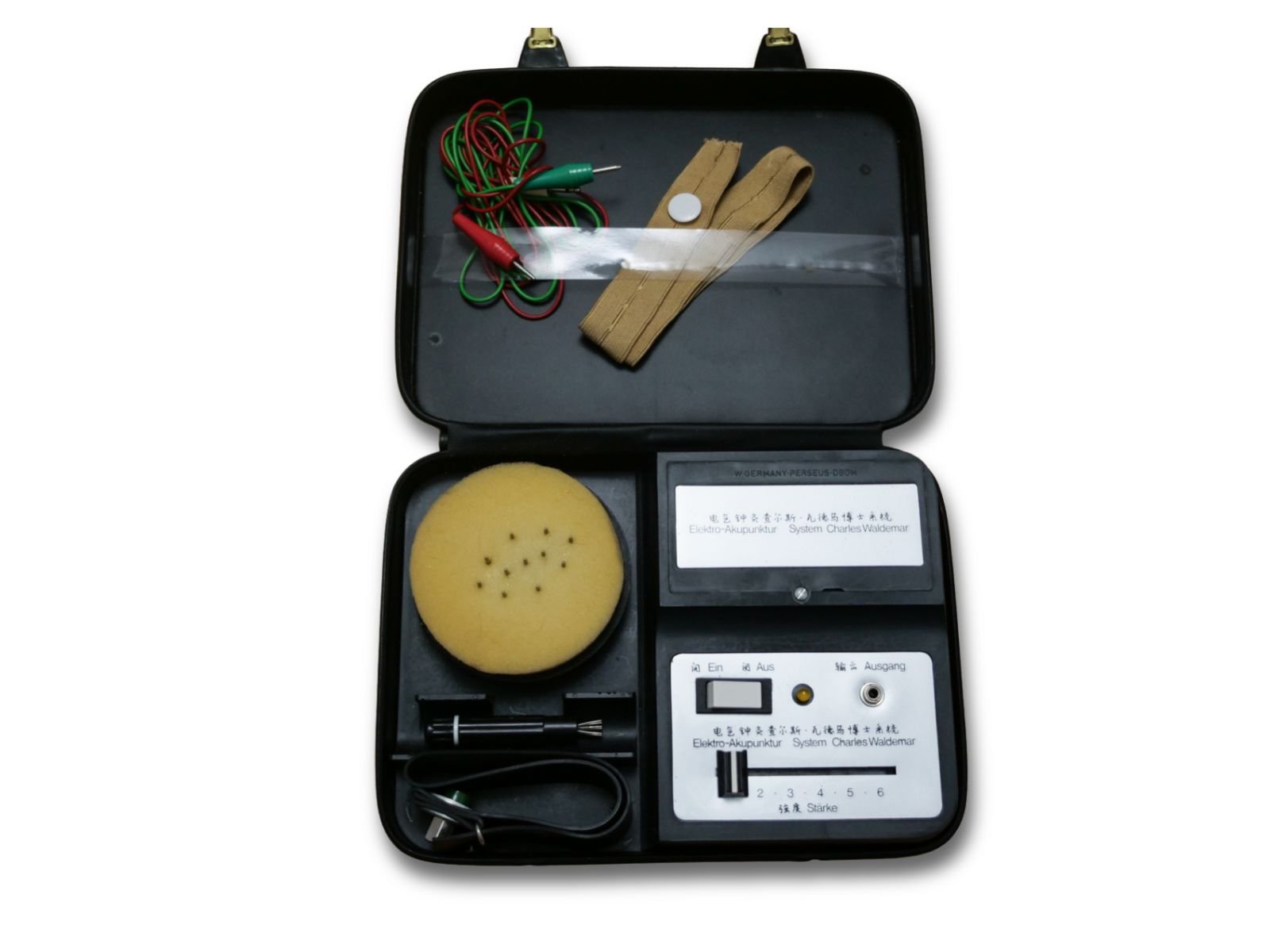 Elektro - Akupunktur System nach Charles Waldemar - Shopelektronik.at